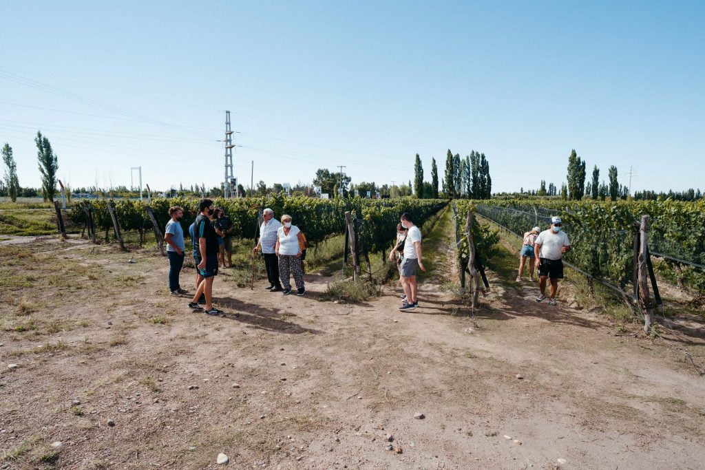 BODEGA EL NEVADO MARZO 2022-7 (1)