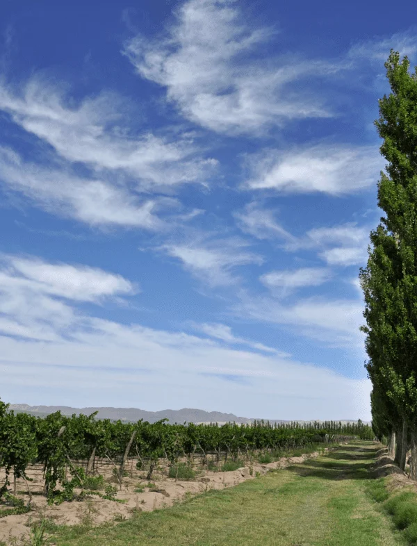 DSC_0191 - 300dpi 1 (1)